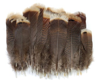 Touch of Nature 24//pkg Mini Indian Feathers for Arts and Crafts Assorted Mix 3-Inch