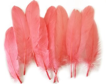coral coloured feathers