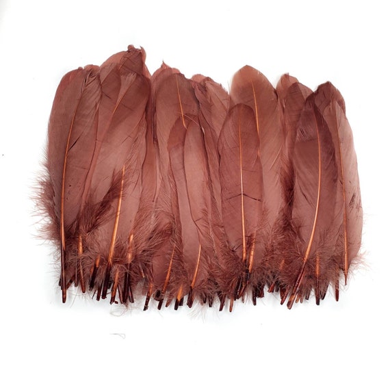 100 Pcs BULK Brown Goose Feathers 5-8 Wholesale Quill Satinettes Loose  Goose Feathers 