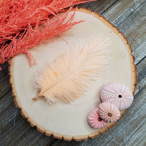 Peach ostrich feathers discount
