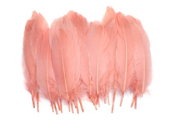 10 pcs Bright Pink Goose Feathers 5-9" Wholesale Quill Satinettes Loose Goose Feathers