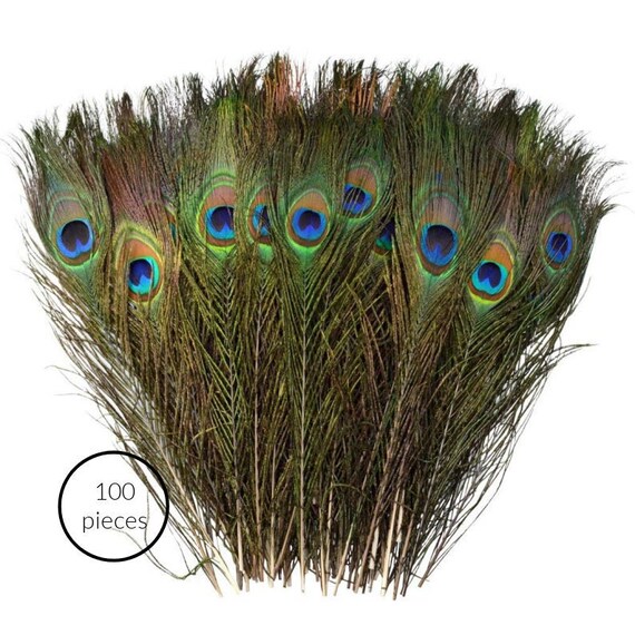 Wholesale Natural Peacock Real Peacock Feathers With Big Eyes