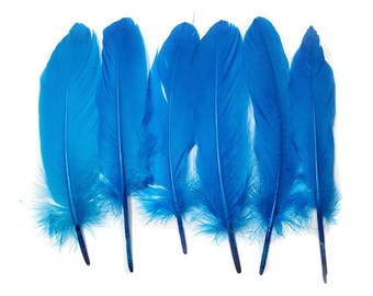 10 pcs Turquoise Blue Goose Feathers 5-9" Wholesale Quill Satinettes Loose Goose Feathers