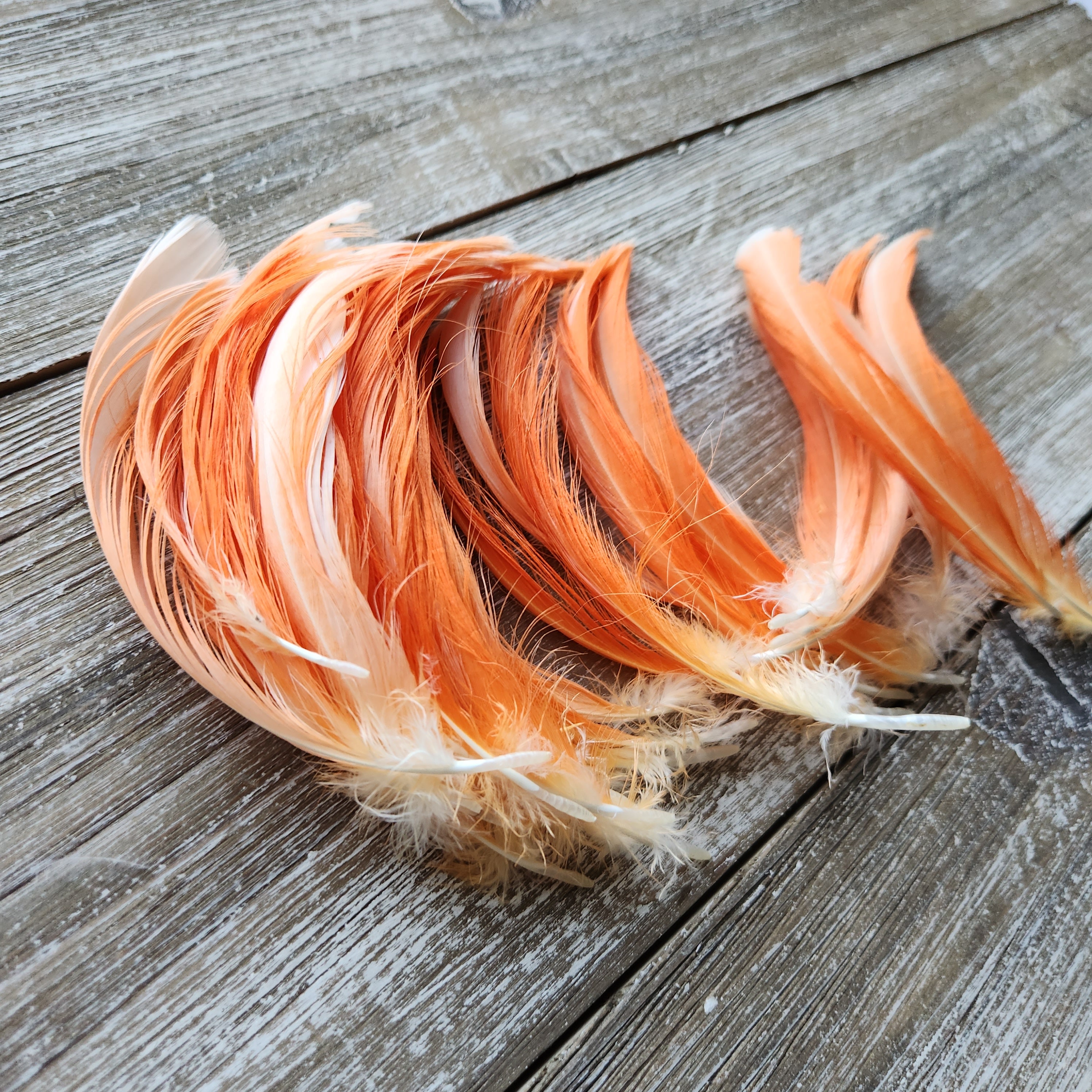 Cruelty Free, 5 Pieces, 3-5" Inches, Orange Feathers