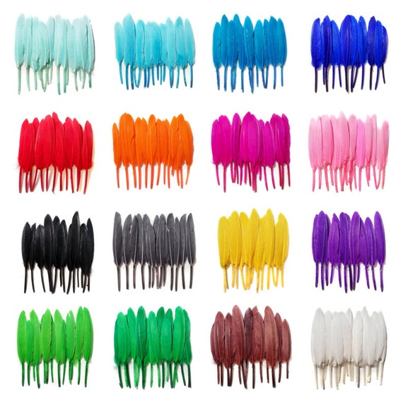 20 piezas Colores mezclados Plumas de fiesta 4-6 Surtido Pato Suelto  Cochettes al por mayor Plumas a granel -  México