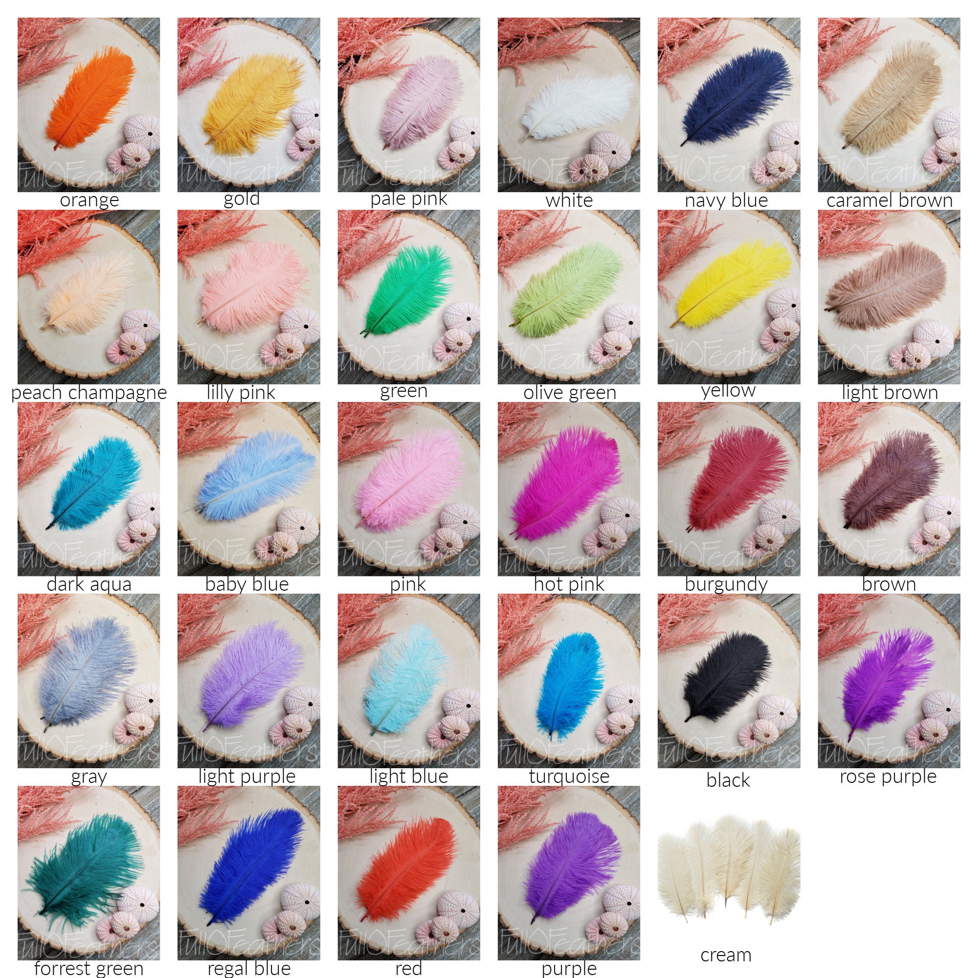10 plumas de avestruz de 6.0 in - 8.0 in - Adornos de plumas de color  pastel para centros de mesa, proyectos de manualidades