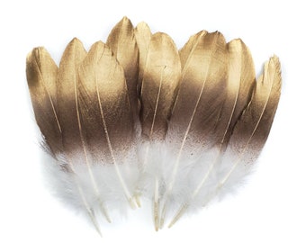 Gold Tip Brown Goose Feathers, 10 Pieces, 6-8" Inches