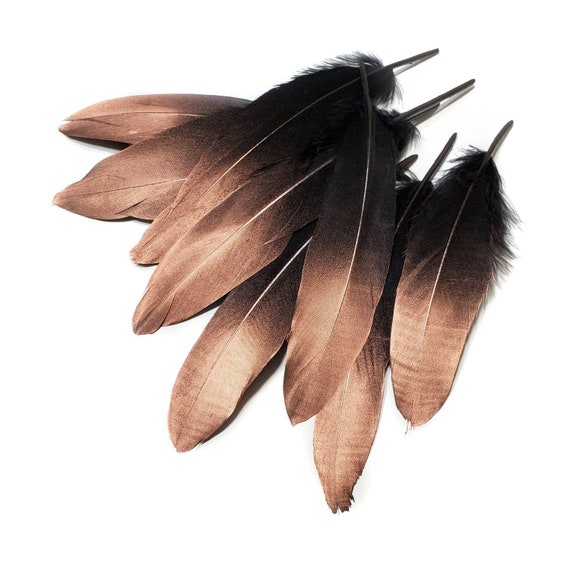 Rose Gold Tip Black Goose Feathers, 10 Pieces, 6-8 Inches 