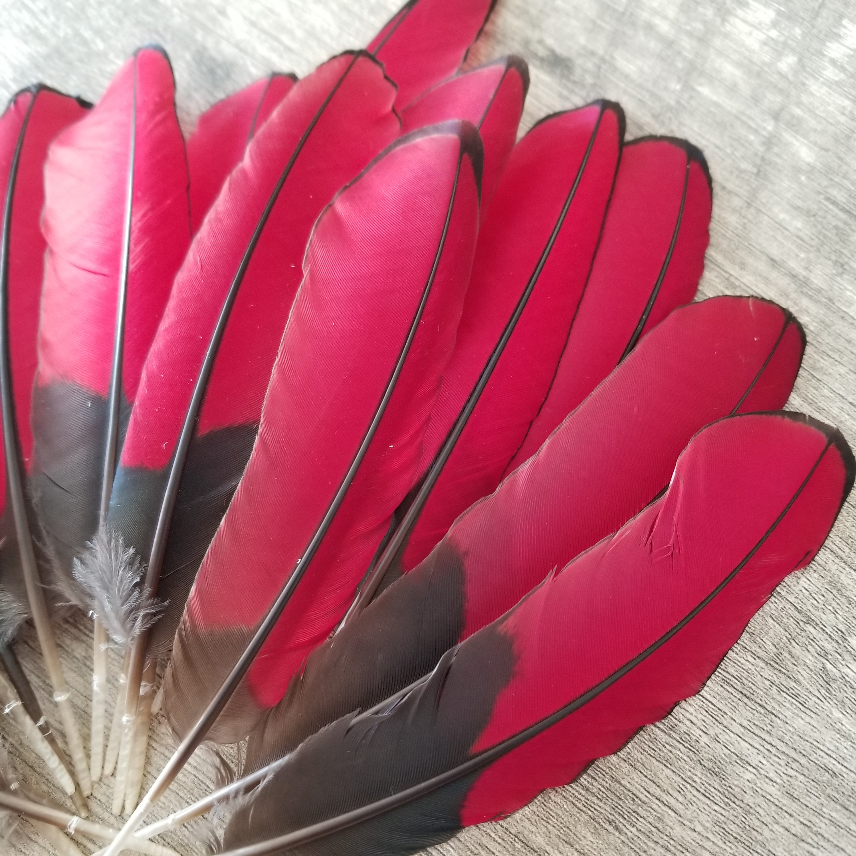 Red Feathers, 2 Pieces, 6-7 Inches 