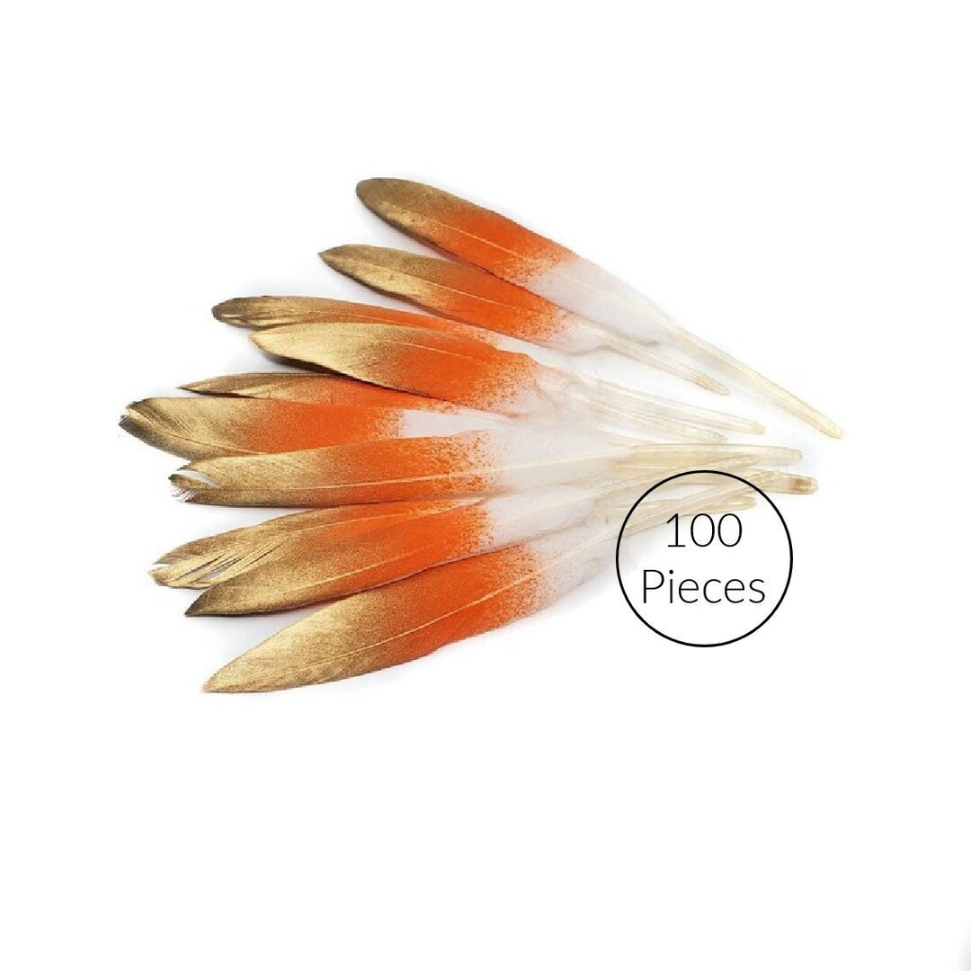 100 Pcs BULK Brown Goose Feathers 5-8 Wholesale Quill Satinettes