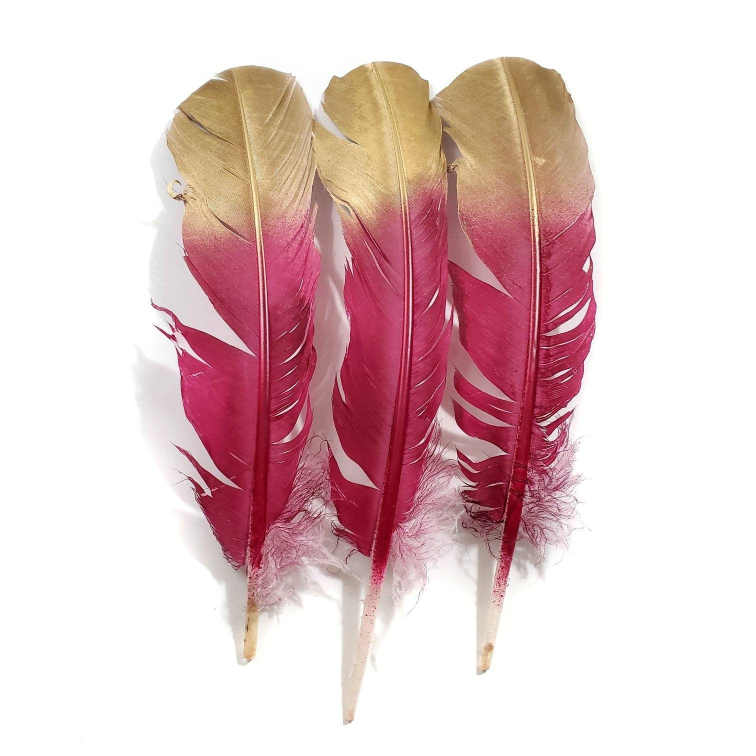 Wild Feathers, 50 Pieces Natural Barred Wild Turkey Merriam Primary Wing  Pointer Quill Wholesale Feathers bulk : 3441 