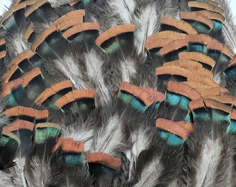 5 pcs Ocellated Turkey Feathers 2.5-3.5" Natural Brown Loose Body and Wing Feathers