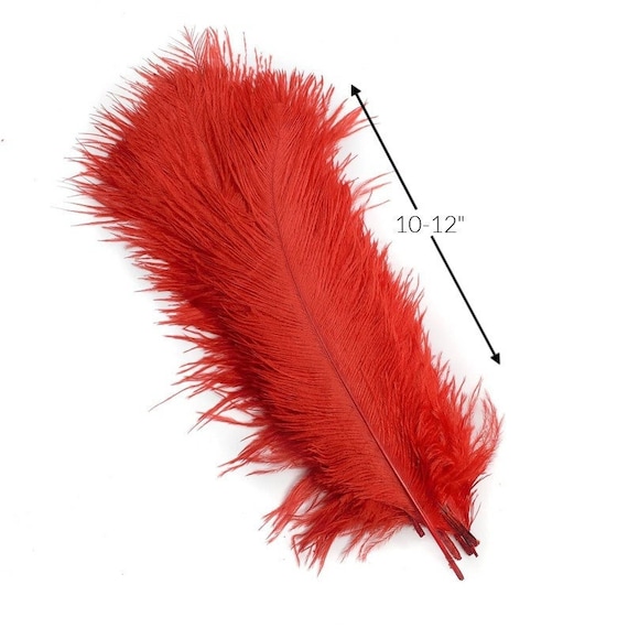 Red Ostrich Feather Quill Pen