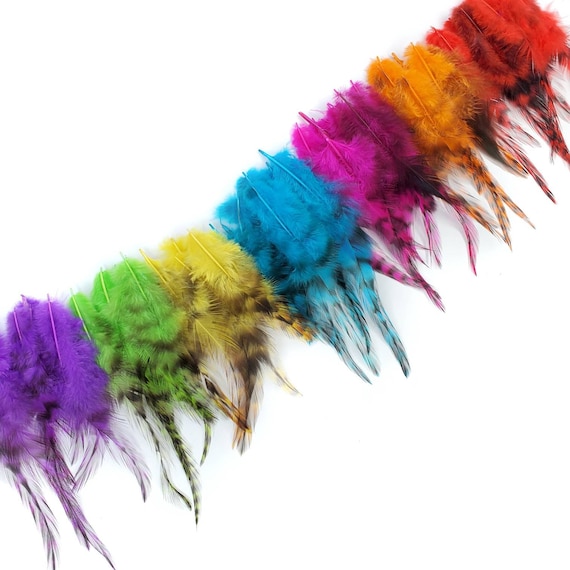 12 Colour Rooster Feathers Natural Chicken Plume Decor Ddyeing Fly