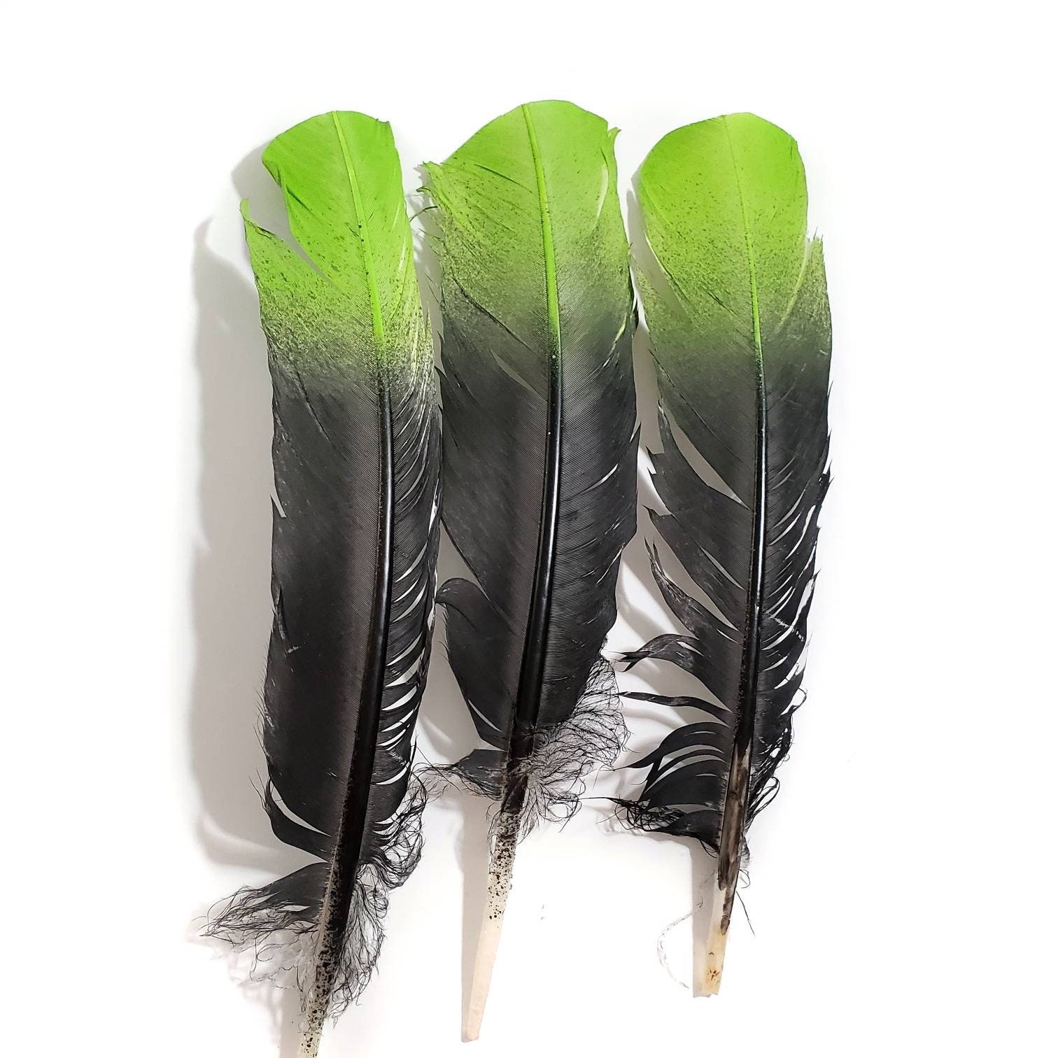 50 Pcs BULK Mallard Duck Wing Feathers 4-5 Natural Duck Loose Wholesale  Cochettes Bulk Feathers 