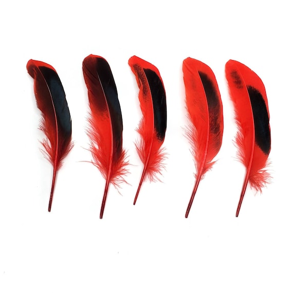 10 Pcs Red Duck Feathers 4-6 Dyed Duck Loose Wholesale Cochettes Bulk  Feathers 
