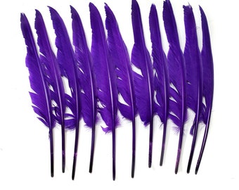 10 pcs Purple Turkey Pointer Feathers 10-15 Dyed Large Wing Tail Feathers
