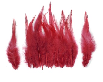 Pink Rooster Feathers, 10 Pieces, 6-8" inches