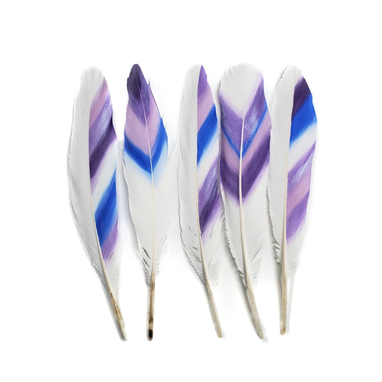 Hand Painted Goose Feathers, 5 Pieces, 6.5-8 Inches