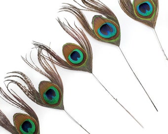 5 pcs Trimmed Peacock Eye Feathers 6-7" Natural Large Peacock Feathers Wholesale