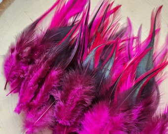 Hot Pink Rooster Feathers, 10 Pieces, 3-5" inches