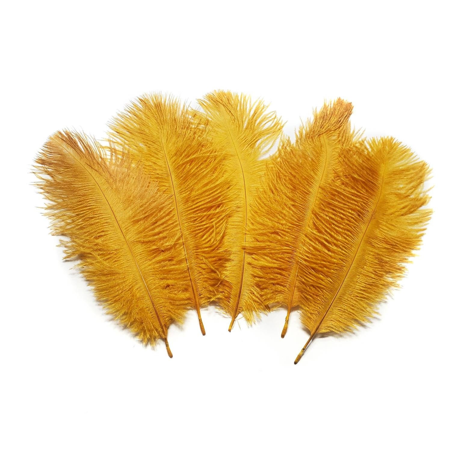 Belagio Ostrich Feather Trim, 6 Wide, Gold