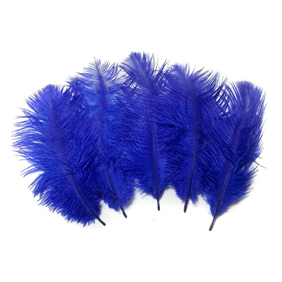 6 Blue Feathers