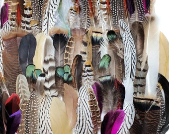 100 pcs BULK Assorted DAMAGED Feathers 1-10" Wholesale Bulk Body Wing Loose Feathers