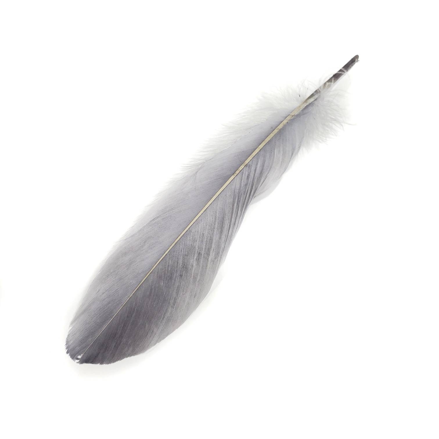 100 Pcs BULK Brown Goose Feathers 5-8 Wholesale Quill Satinettes