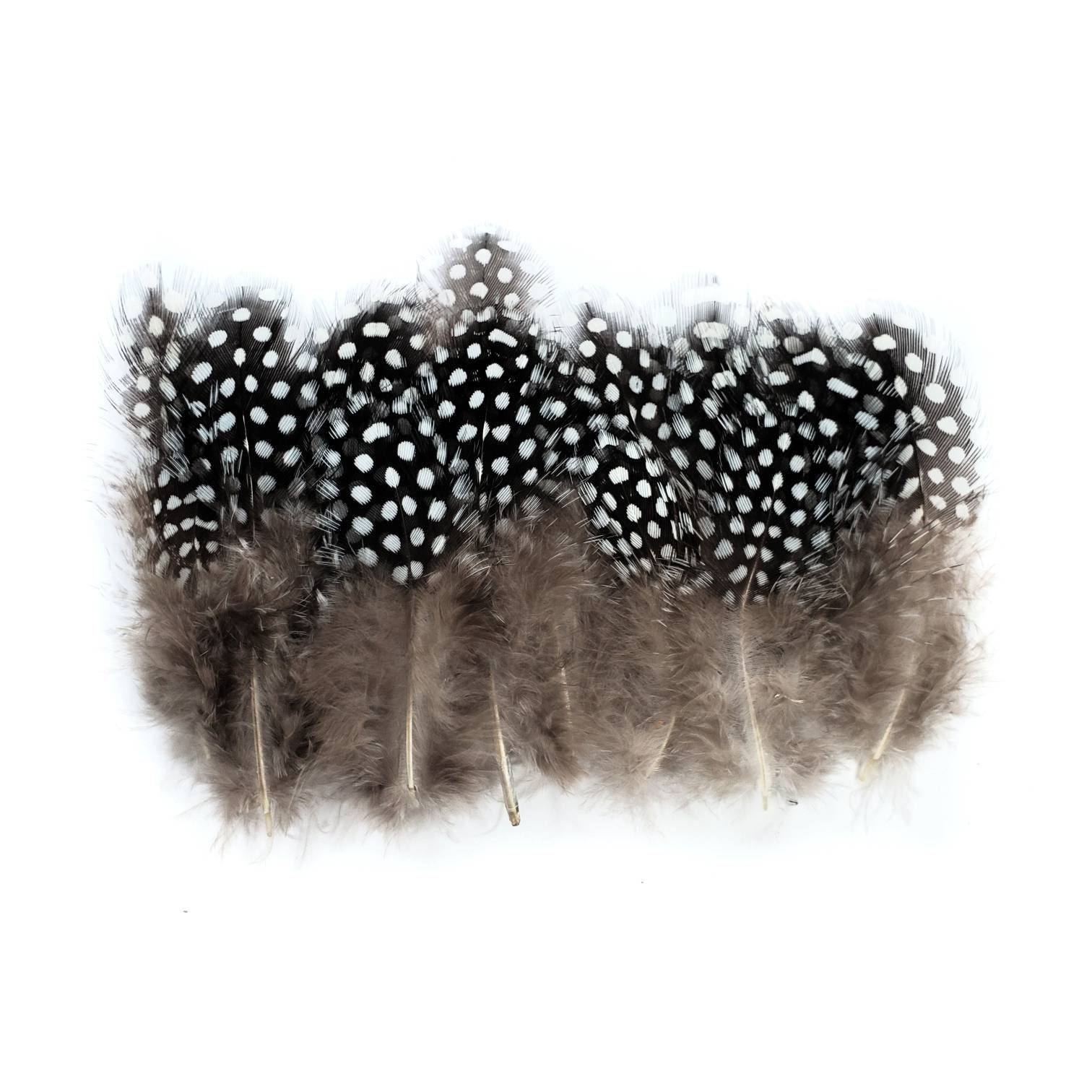 3.5 Ostrich Feathers Black Pkg/100