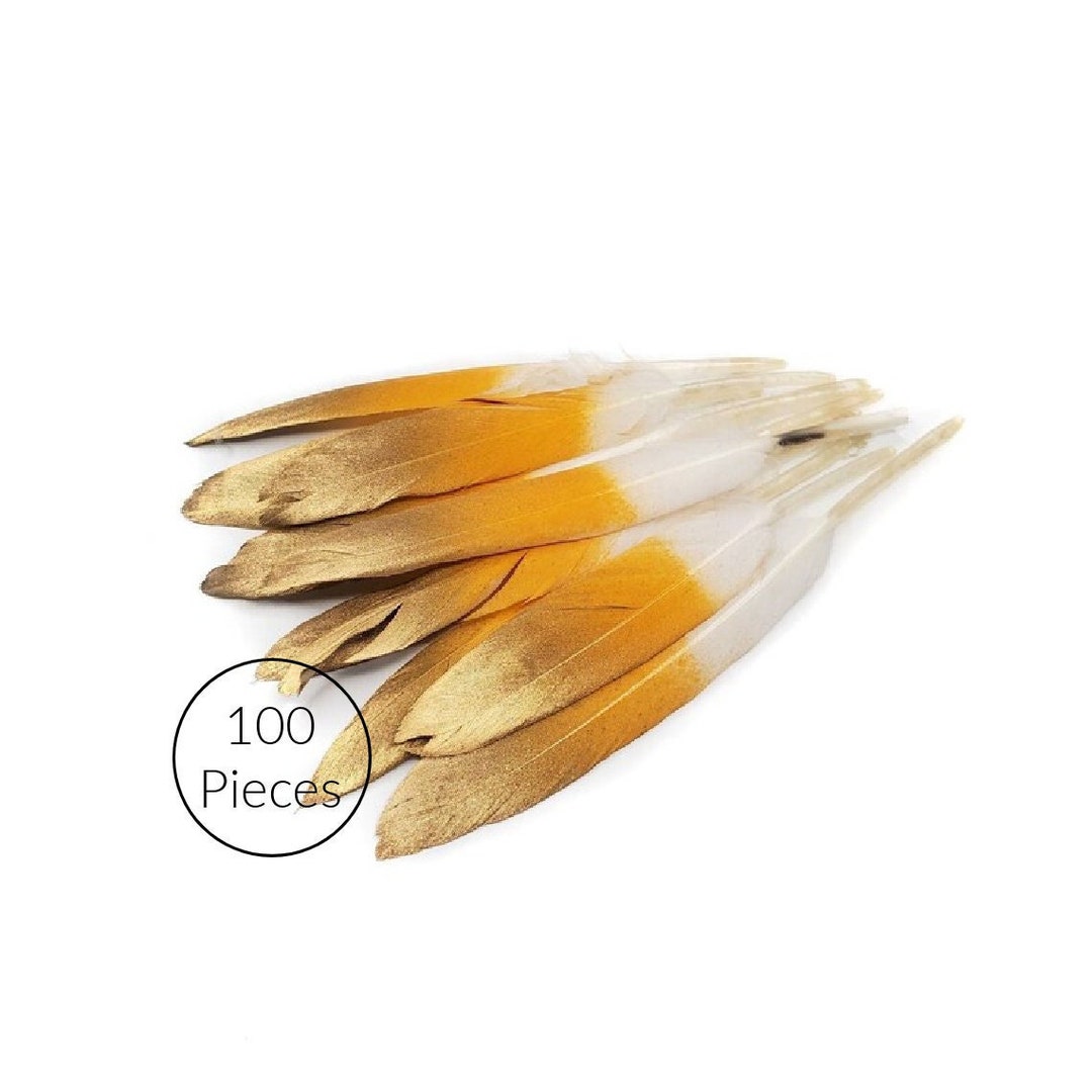 100 Pcs BULK Brown Goose Feathers 5-8 Wholesale Quill Satinettes Loose  Goose Feathers 