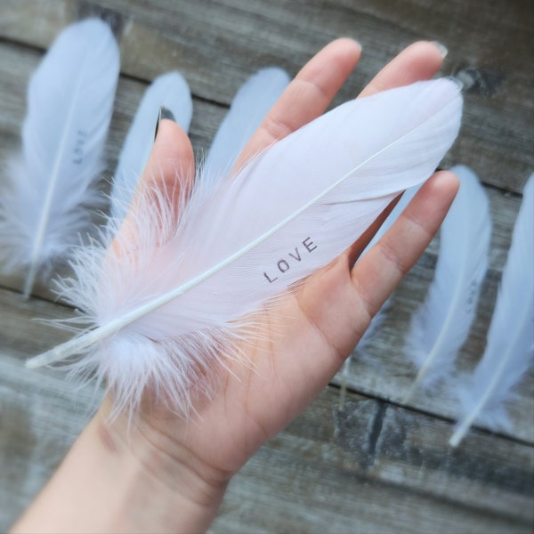 Stamped Love Feather Gift, 1 Feather, 6-8.5" Inches, Angel Wings - LOVE