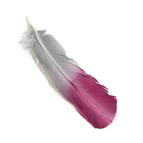 6-Piece Pink and Purple Turkey Quill Feathers