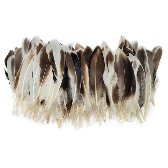 50 Pcs BULK Mallard Duck Wing Feathers 4-5 Natural Duck Loose Wholesale  Cochettes Bulk Feathers 