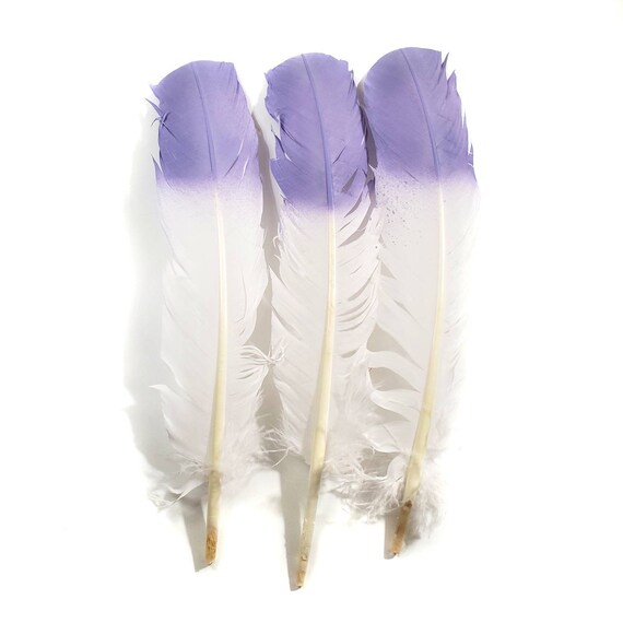 6 Pieces White Turkey Pointers Primary Wing Quills