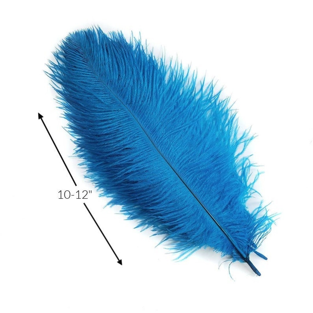 10Pcs Multicolor Real Ostrich Feathers Bulk Handicraft for Wedding