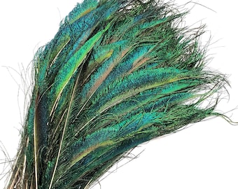 10 pcs Peacock Sword Feathers 10-12" Natural Large Peacock Tail Feathers