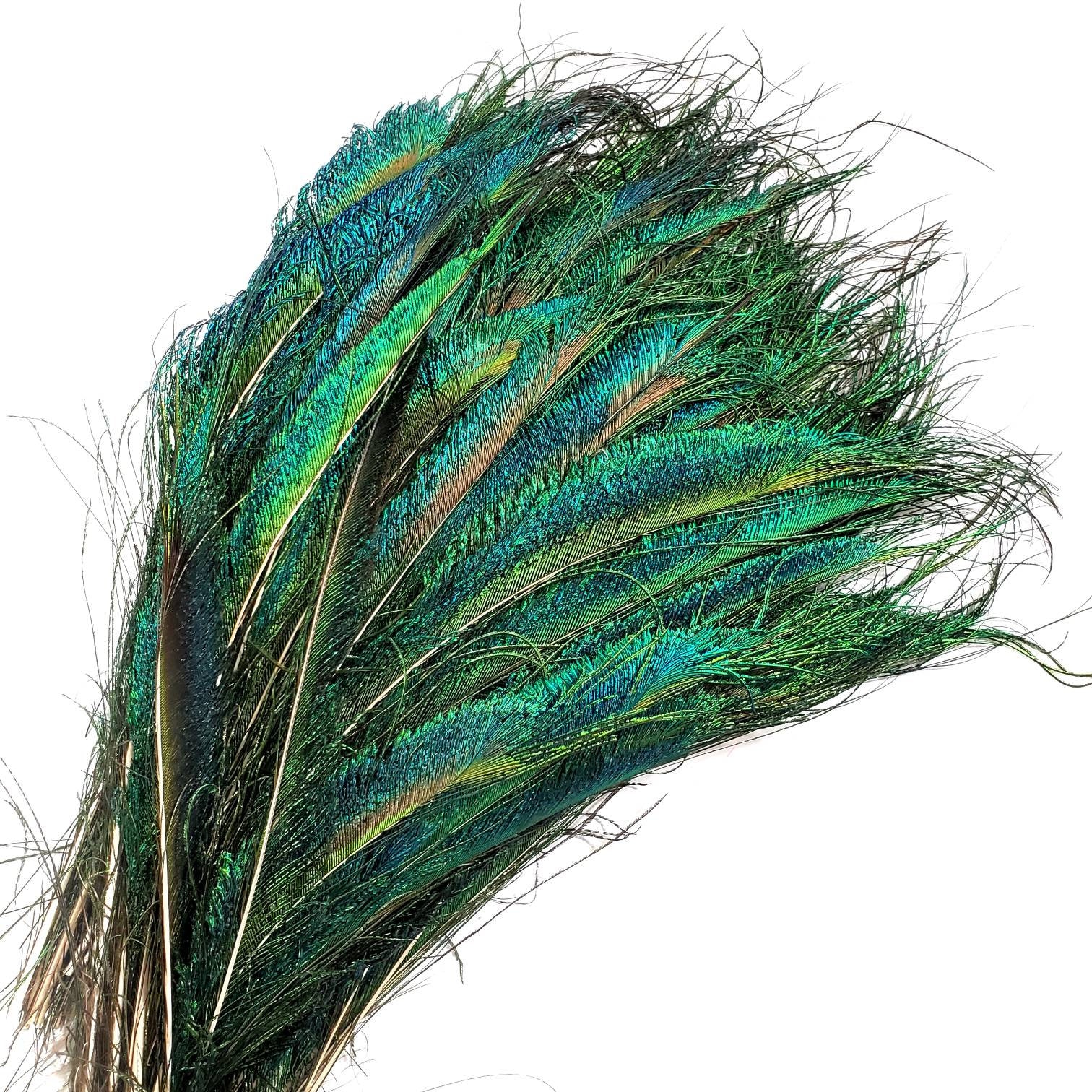 Beautiful Natural Peacock Feathers Eye Peacock Tail Feathers 10-12 Pack  of 20pcs