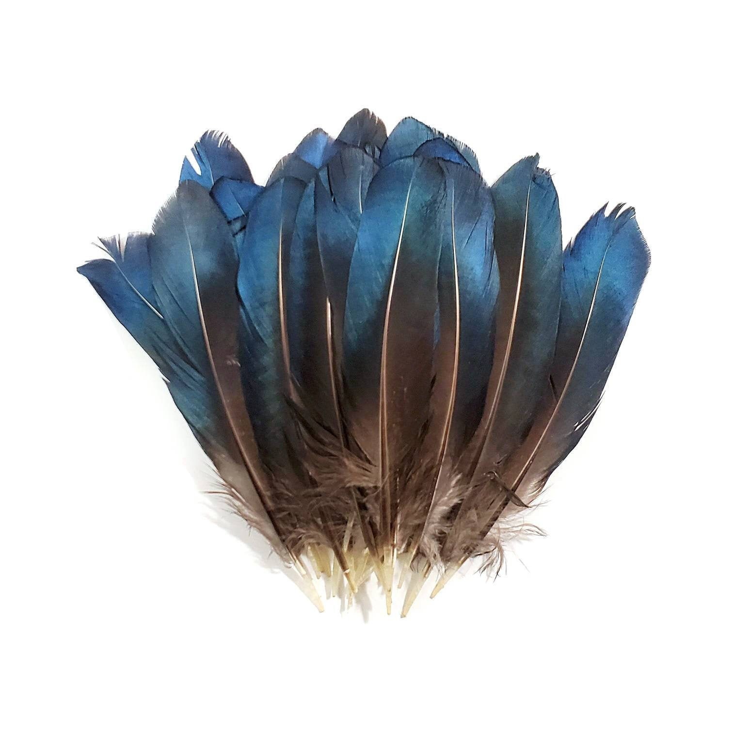 Turkey Feathers Trim Fringe Pheasant Feather Rooster Feather For Party  Wedding Dress Sewing Crafts Decoration - 5 Yards Turkey Feathers For Crafts,  Fe
