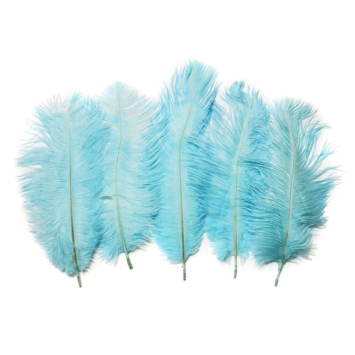 Light Blue Ostrich Feathers 10 Pieces 68 Inches Etsy