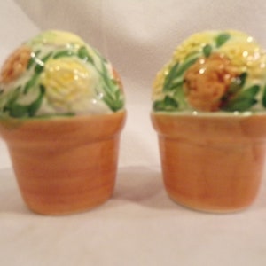 Vintage Flower Pot with Flowers Salt & Pepper Shakers
