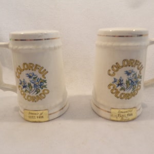 Vintage Souvenir Salt and Pepper Shakers from Estes Park in Colorado Mug Style