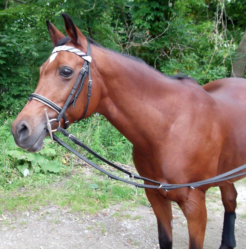 How and Why to Measure Your Horse for a Woven Beads Browband Etsy