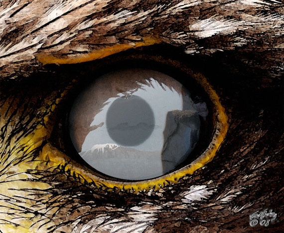 eagle eye viewer eagle eye viewer