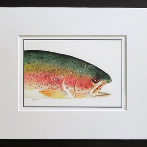Rainbow Trout - Giclee Fine Art matted Print