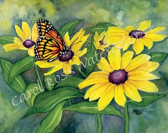 Black-eyed Susan - Giclee Watercolor Print