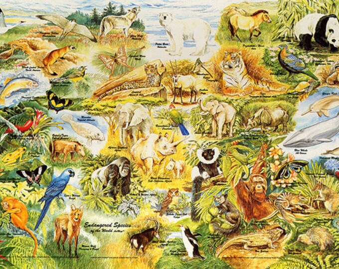 Endangered Species of the World Wall Map - Etsy