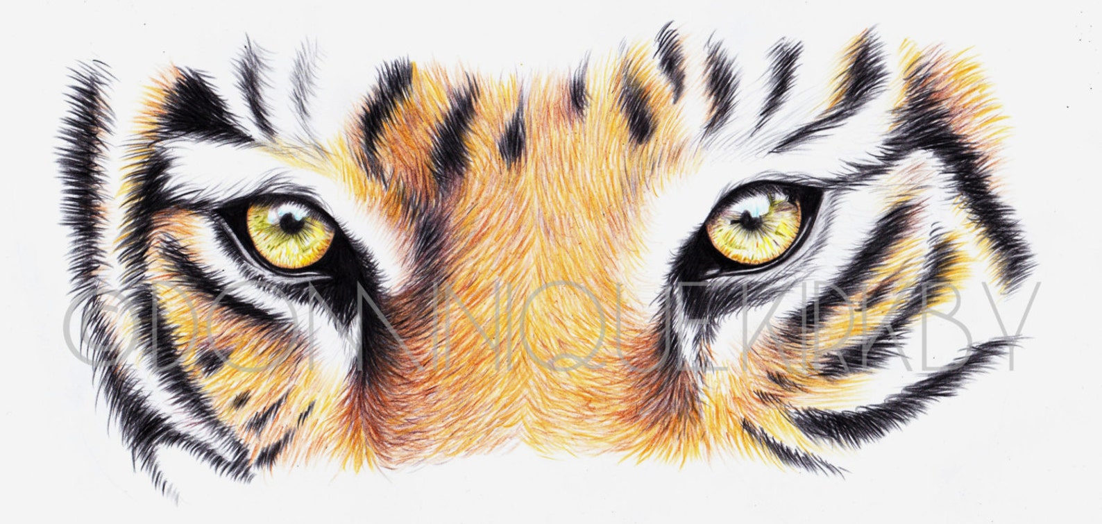 Стилизованные глаза тигра