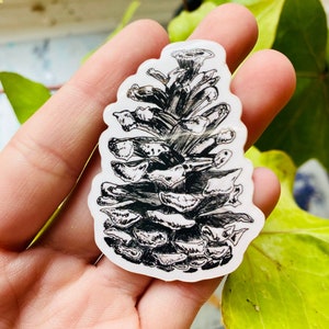 Pine Cone Tree Sticker - Decal - Sticker Art -Nature Art - Bumper Sticker - Nature Sticker - Whimsical Illustration - Black and White