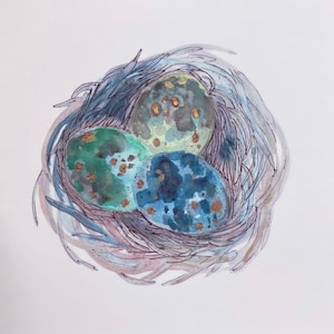 Original Fine Art Print Minimalistic Modern Nature Bird Egg Art Watercolor Drawing Illustration Whimsical Artwork Michigan Artist Blue Green